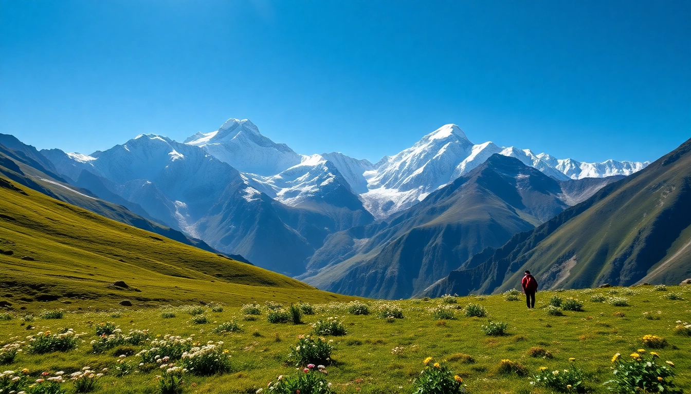 Experience the breathtaking views of the Sandakphu trek amidst majestic peaks and lush meadows.